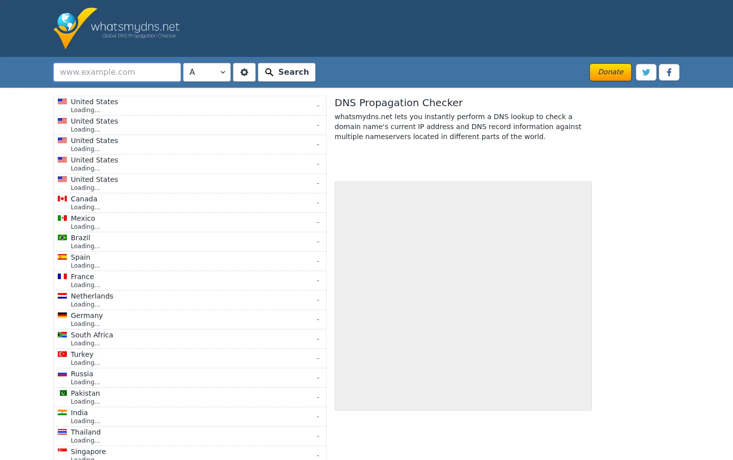DNS Propagation Checker 页面快照